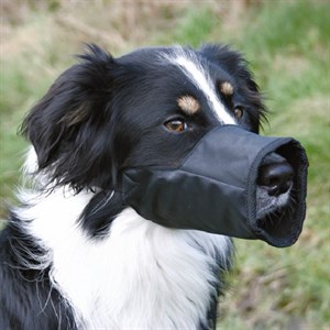 Trixie Köpek Ağızlık Siyah XSmall 10cm